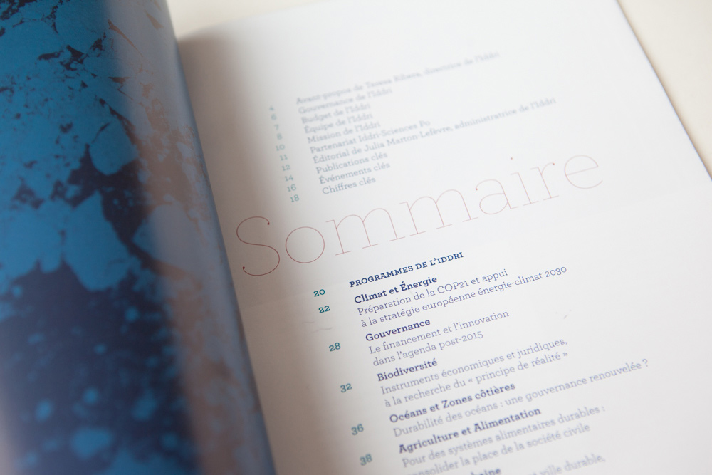 Rapport d’activités de l’IDDRI 2014 pour IDDRI - INSTITUT DU DÉVELOPPEMENT DURABLE ET DES RELATIONS INTERNATIONALES