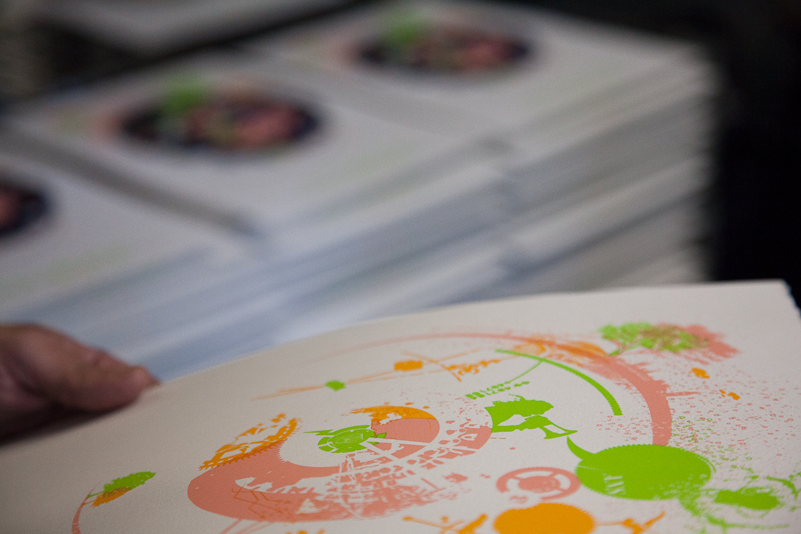 Affiche Édition limitée – Visa pour VISA