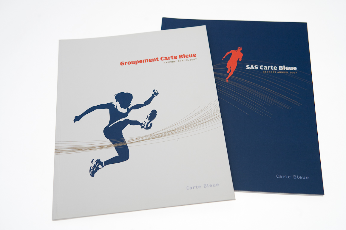 Rapports annuels Carte Bleue / Visa 2007 – 2009 pour Visa