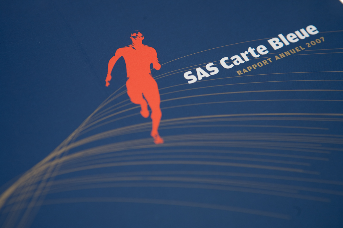 Rapports annuels Carte Bleue / Visa 2007 – 2009 pour Visa