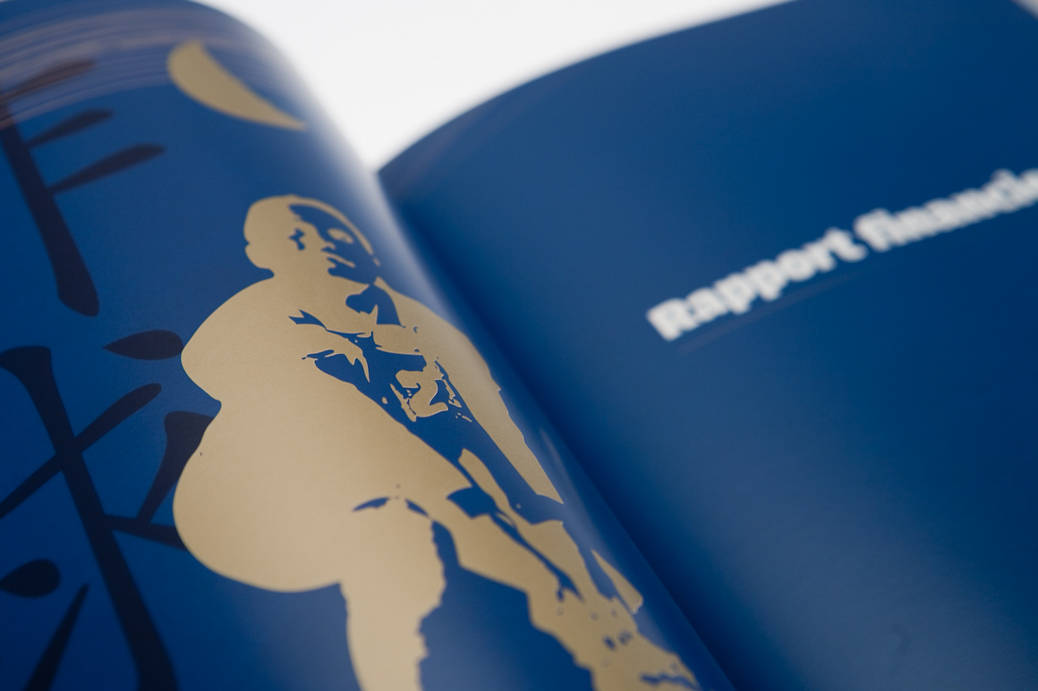 Rapports annuels Carte Bleue / Visa 2007 – 2009 pour Visa