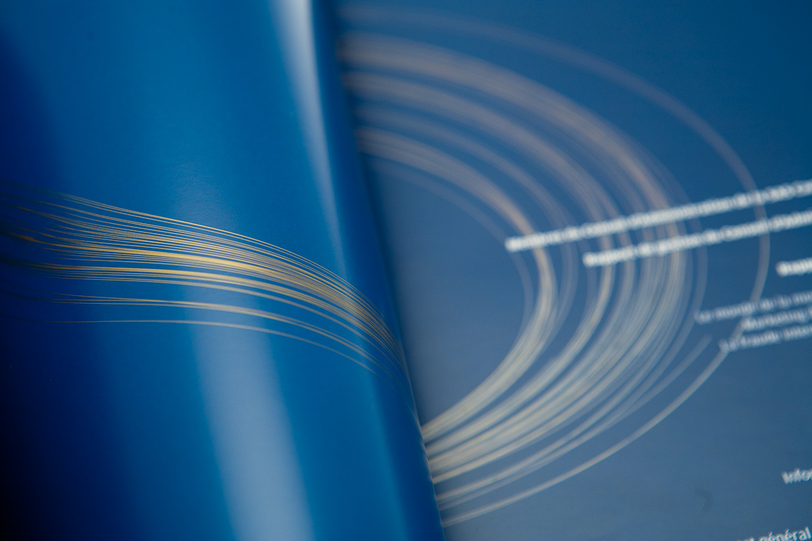 Rapports annuels Carte Bleue / Visa 2007 – 2009 pour Visa