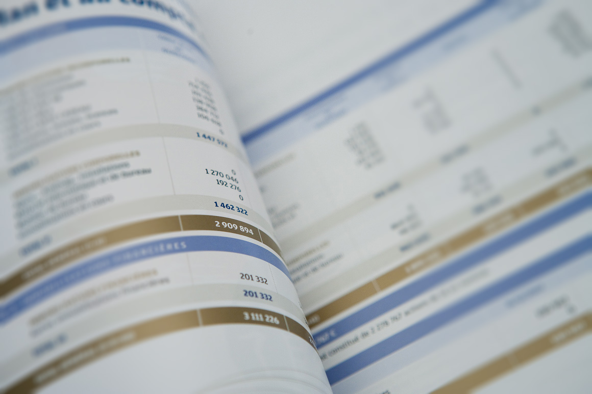 Rapports annuels Carte Bleue / Visa 2007 – 2009 pour Visa