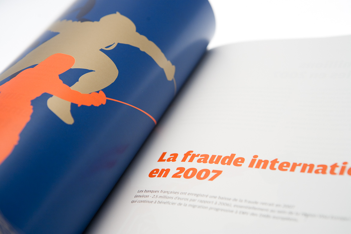 Rapports annuels Carte Bleue / Visa 2007 – 2009 pour Visa