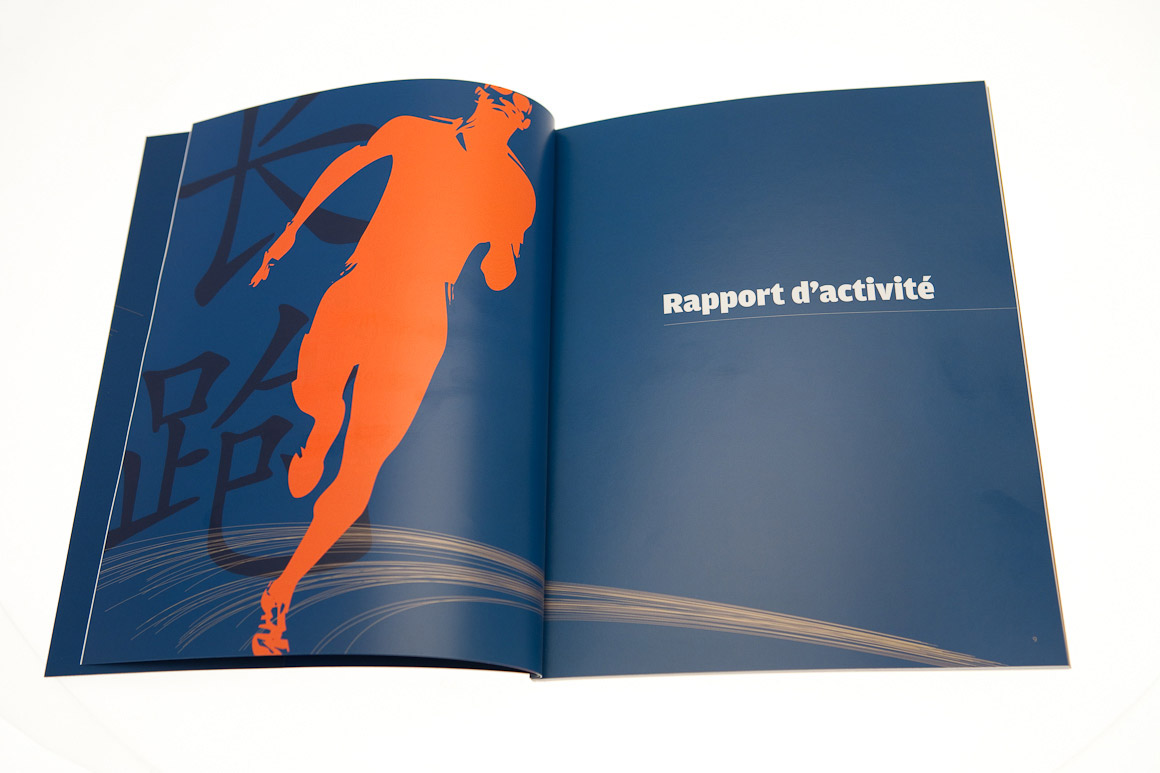 Rapports annuels Carte Bleue / Visa 2007 – 2009 pour Visa