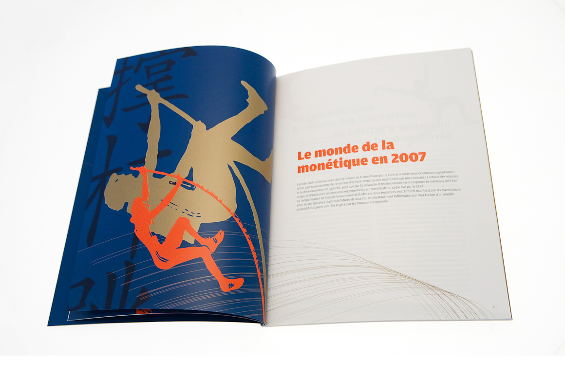 Rapports annuels Carte Bleue / Visa 2007 – 2009 pour Visa