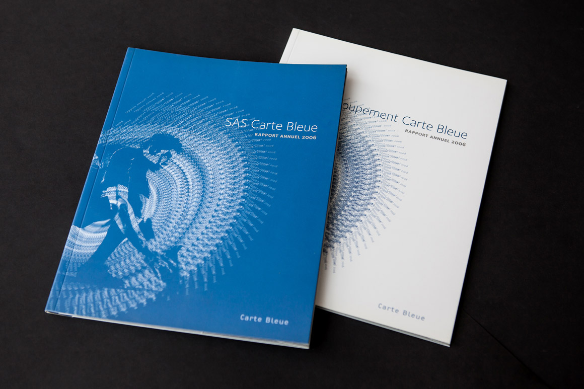 Rapports annuels Carte Bleue / Visa 2007 – 2009 pour Visa