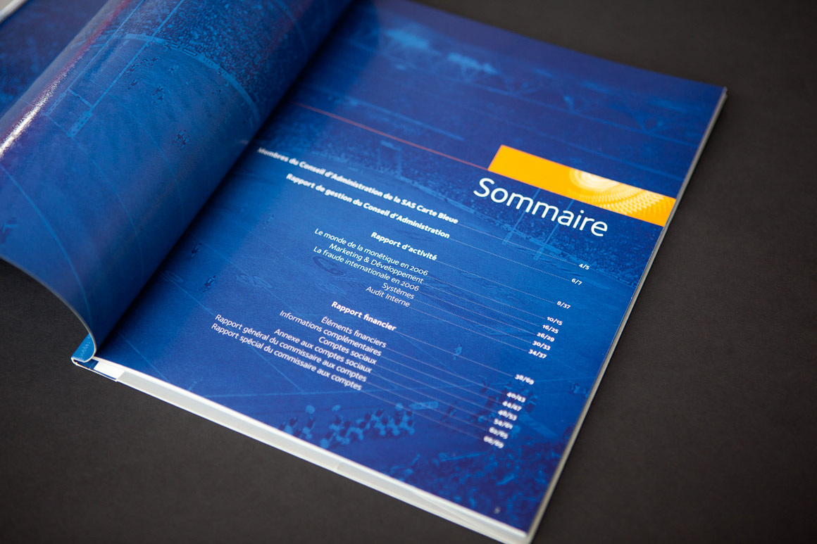 Rapports annuels Carte Bleue / Visa 2007 – 2009 pour Visa