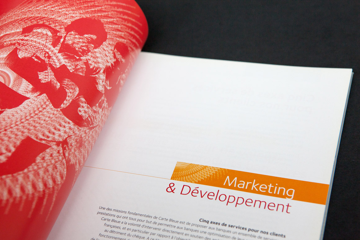 Rapports annuels Carte Bleue / Visa 2007 – 2009 pour Visa