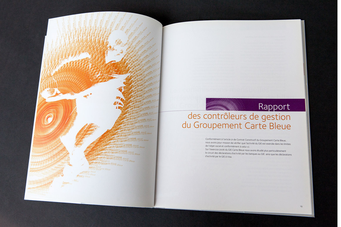 Rapports annuels Carte Bleue / Visa 2007 – 2009 pour Visa