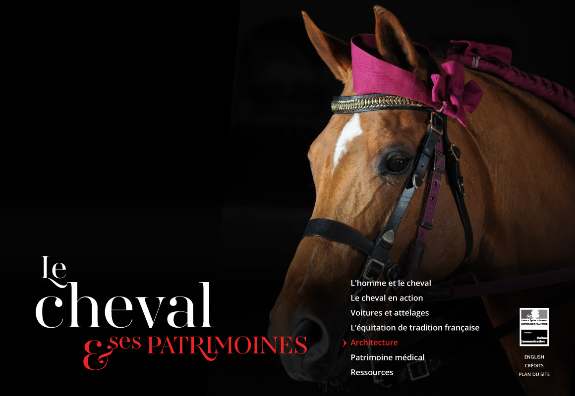Le Cheval & ses Patrimoines - Site web encyclopédique pour Ministère de la culture et de la communication