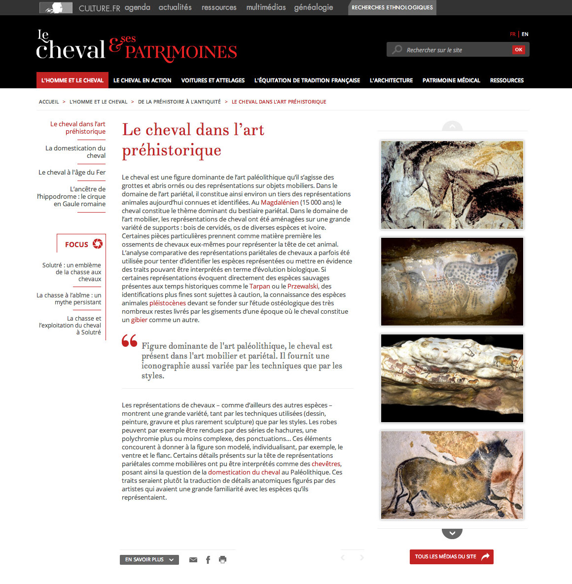 Le Cheval & ses Patrimoines - Site web encyclopédique pour Ministère de la culture et de la communication